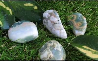Ocean Jasper