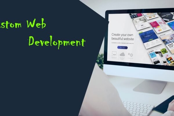 custom web development