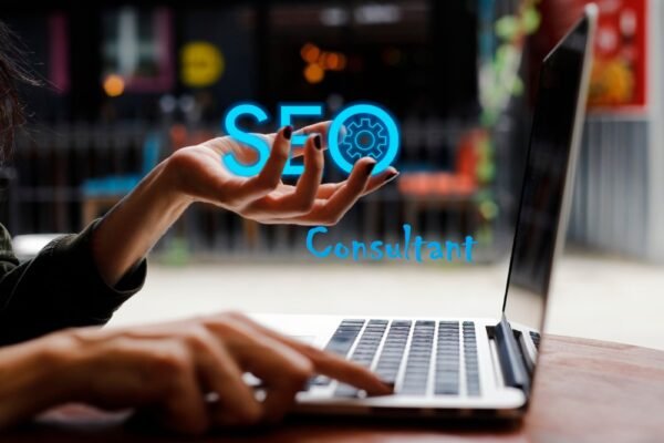 SEO Consultant