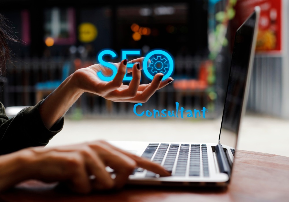 SEO Consultant